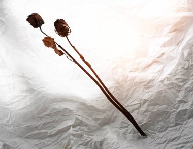 Kurutulmuş gülgrunge yüzey arka plan koymak, sıcak ışık tonu, bulanık ışık etrafında