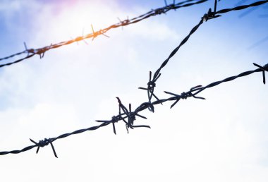 Siluet Dikenli tel çit, demir yapılmış, diken ve pas uzun süre kullanılan