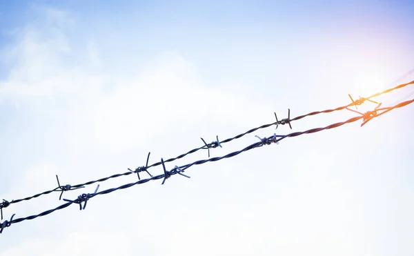 The silhouette Barbed wire fence,made from iron,thorn and rust from long time used