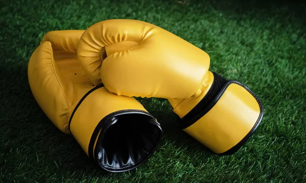 Los Guantes Boxeo Cuero Puestos Planta Baja Hierba Verde Luz —  Fotos de Stock