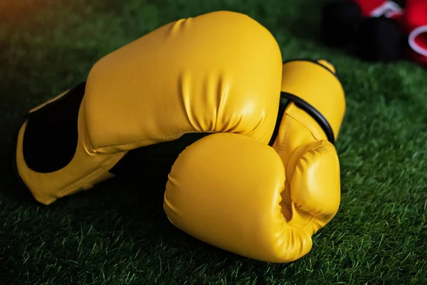 The leather gloves put on green grass ground floor,blurry light around