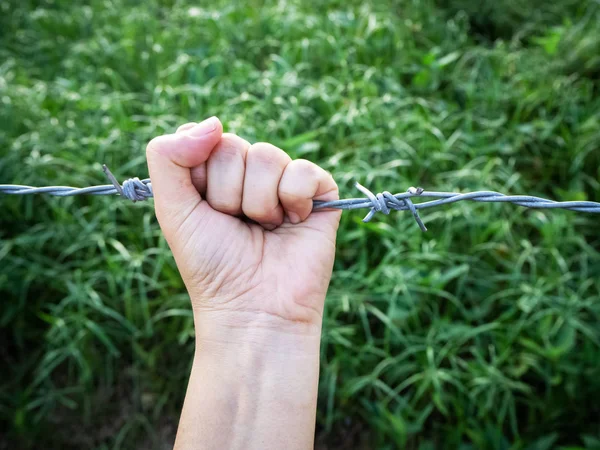 Human Hand Holding Barbed Wire — Stock Photo, Image
