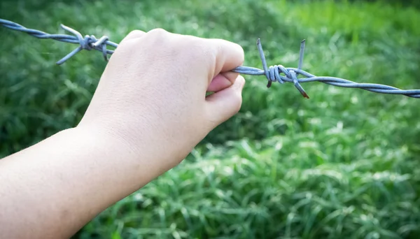 Human Hand Holding Barbed Wire — Stock Photo, Image