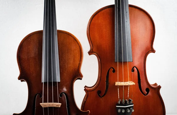 Två Olika Storlekar Violin Sätta Bakgrunden Visa Detaljer Framsidan — Stockfoto