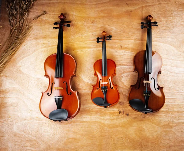 Três Tamanhos Diferentes Violinos Colocados Placa Madeira Mostram Detalhes Instrumento — Fotografia de Stock