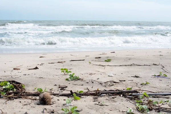 The rubbish on the beach,dirty and bad pollution