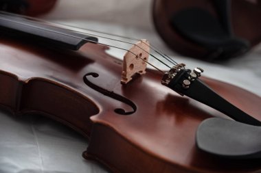 Kemanın yakın çekim ön yüzü,Fine Tuners'da seçici odakta,enstrümanın bir parçası,klasik tarz, vintage ve sanat tonu,bulanık ışık