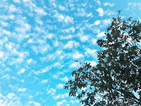Dumanlı Sallanan Bulut Ile Gökyüzü Arka Plan Kümülüs Bol Etrafında — Stok fotoğraf