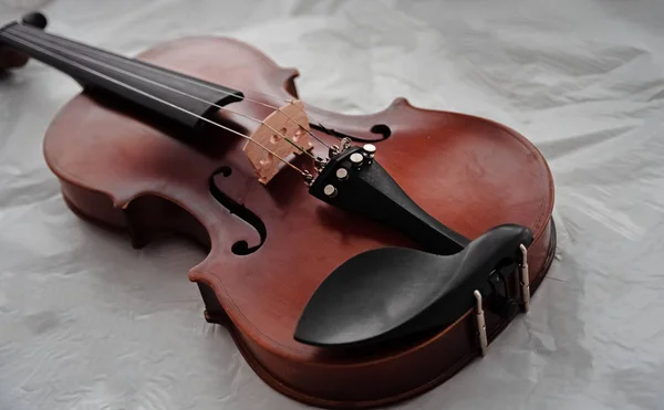 Feche Lado Frontal Violino Parte Sapato Instrumento Acústico Estilo Clássico — Fotografia de Stock