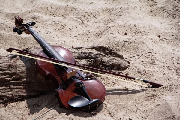 Wooden Violin Ahd Bow Put Timber Board Beach Blurry Light — Stock Photo, Image