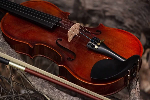 木制小提琴和弓放在木木板上 周围光线模糊 — 图库照片