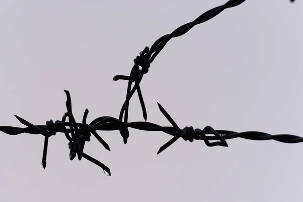 Silhouette Barb Wire Background Blurry Light — Stock Photo, Image