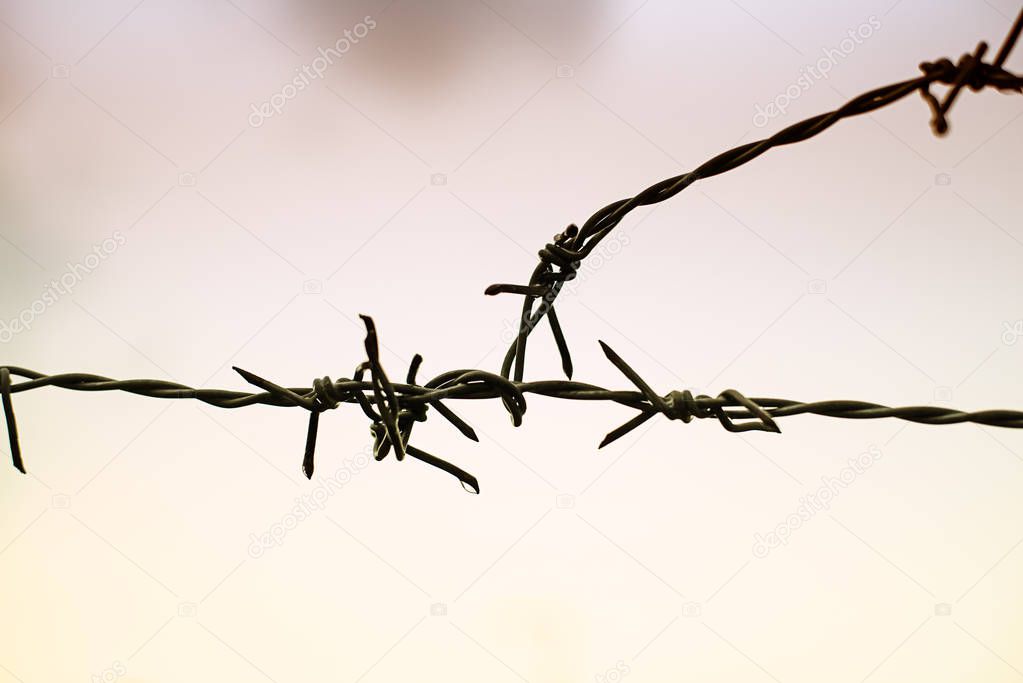 The abstract art design bacckground of old barb wire at middle of background,vintage and art tone,