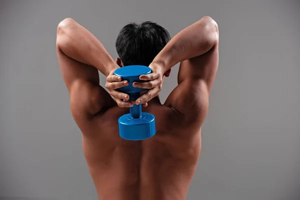 Back side body of young man,holding blue dumbbell,show strong arm and shoulder,fit and firm muscle