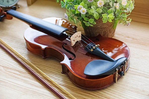 放置在木制桌子上的古典小提琴 在花盆旁边 展示着弦乐器的正面 四周的灯光模糊不清 — 图库照片
