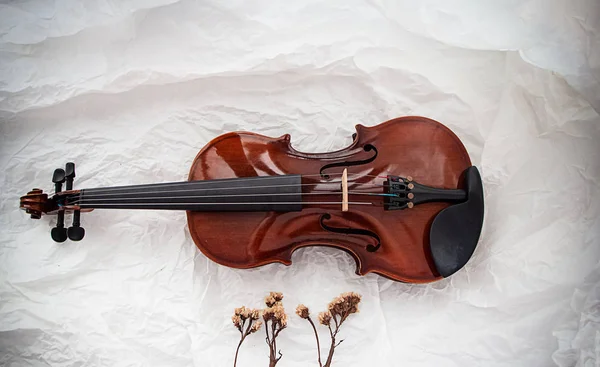 Die Hölzerne Geige Auf Weißem Grunge Hintergrund Zeigt Details Des — Stockfoto
