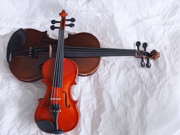 Violino Menor Colocar Maior Mostrar Detalhes Tamanho Diferente Instrumento Acústico — Fotografia de Stock