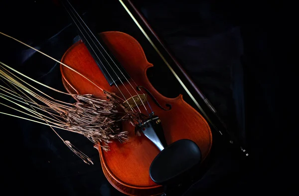 Ξύλινο Βιολί Τοποθετείται Δίπλα Αποξηραμένο Λουλούδι Μαύρο Καμβά Φόντο Vintage — Φωτογραφία Αρχείου