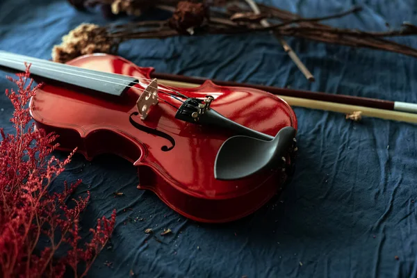 在干花旁边放上小提琴 背景灰暗 古色古香 风格典雅 — 图库照片