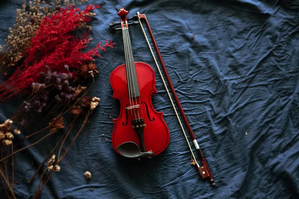 Selektivt Fokus Violin Och Båge Sätta Bredvid Torkad Blomma Grunge — Stockfoto