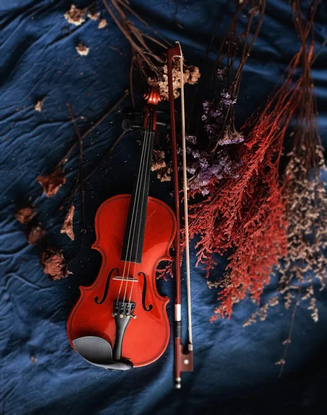 在有选择的小提琴和弓箭焦点旁边放着干枯的花朵 表面背景 古色古香 风格典雅 — 图库照片