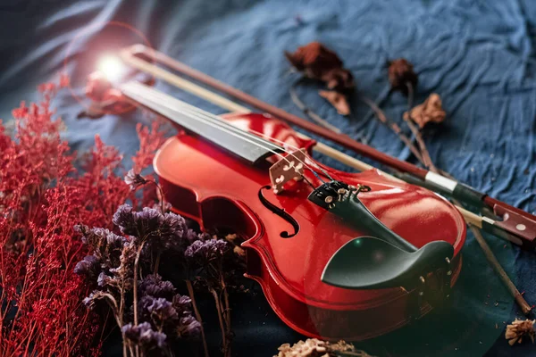 Скрипка Лук Поставлені Поруч Сушеною Квіткою Тлі Гранджу Вінтажний Художній — стокове фото
