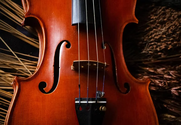 Kemanın Tarafı Tasarım Akustik Enstrümanın Bir Kısmı Klasik Sanat Tonu — Stok fotoğraf