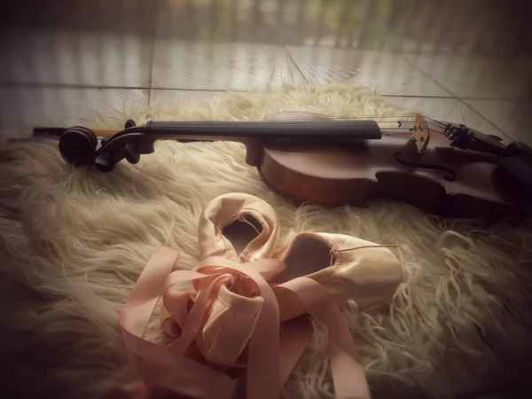 바이올린 놓여진 구두의 선택적 — 스톡 사진
