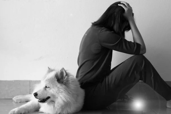 Lady Sitting Her Dog Unhappy Feeling Stress Upset Lens Flare — Stock Photo, Image