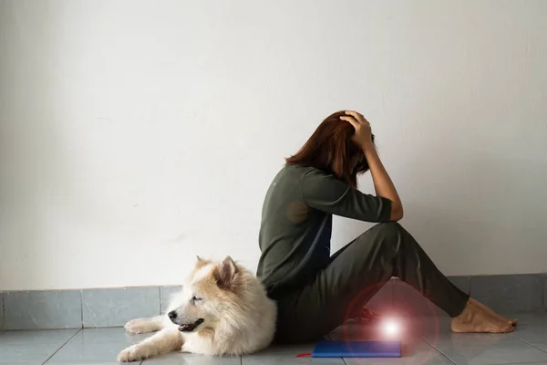 Lady Sitting Her Dog Unhappy Feeling Stress Upset Lens Flare — Stock Photo, Image