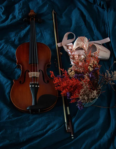 Violine Und Ballettschuhe Neben Getrockneten Blumentopf Gelegt Auf Hintergrund — Stockfoto