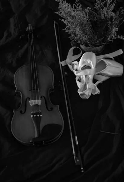 Hegedű Balett Cipő Háttérben Szárított Virágcserép Mellett Fekete Fehér Tónus — Stock Fotó