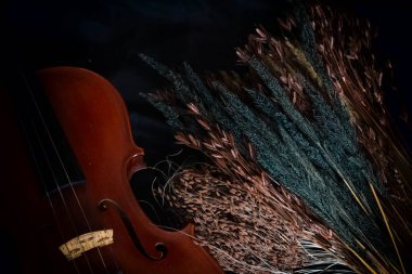Arka planda bol miktarda kurumuş çiçek, keman, vintage ve sanat tonunun yarısı yanında, bulanık ışık etrafında