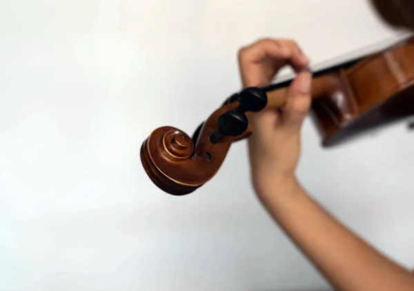 Messa Fuoco Selettiva Pergamena Violino Luce Sfocata Intorno — Foto Stock