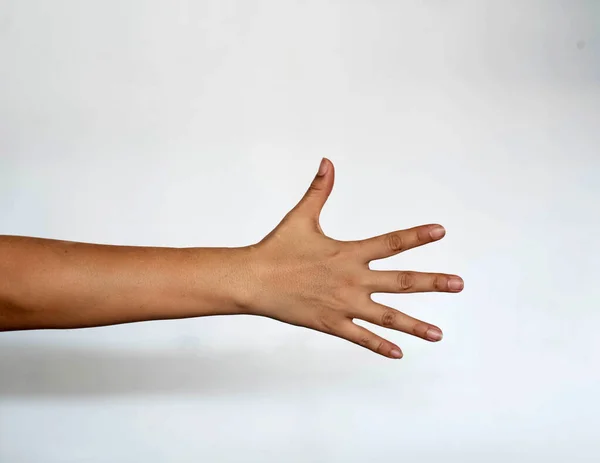 Parte Trás Mão Cinco Dedos Mostrando Fundo Branco — Fotografia de Stock