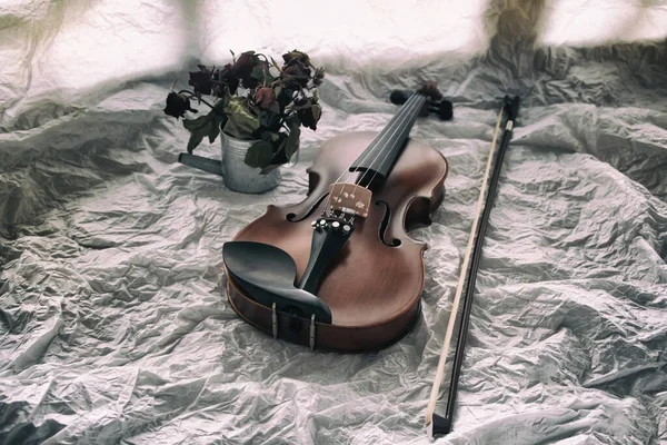 Den Abstrakta Konstdesign Bakgrund Violin Och Båge Satte Bredvid Torkad — Stockfoto
