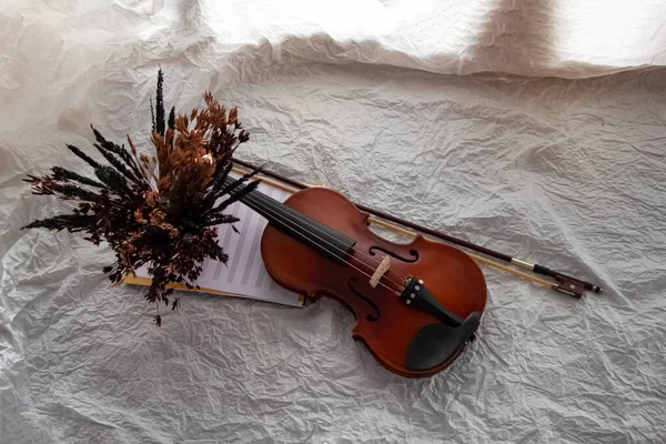 Violin and bow put beside dried flower pot.on background,prepare for practice,blurry light around