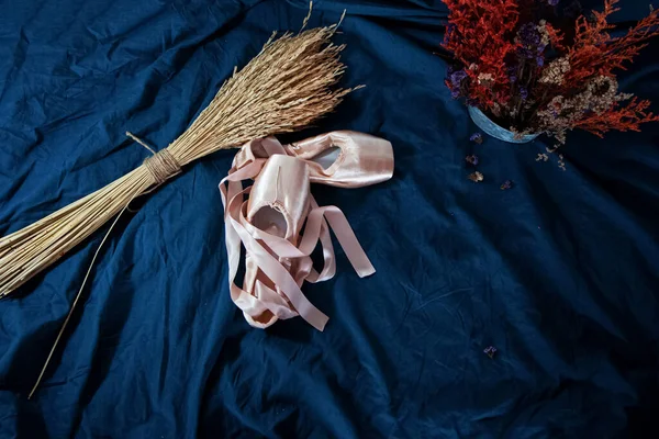 Draufsicht Auf Ballettschuhe Die Neben Getrockneten Blumentopf Gelegt Wurden Auf — Stockfoto