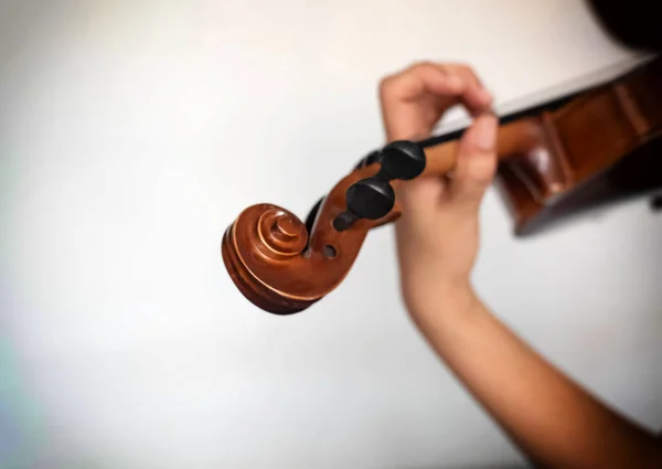 Hegedű Szelektív Fókuszában Scroll Part Akusztikus Eszköz Elmosódott Fény Körül — Stock Fotó