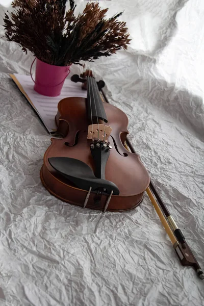 Violin and bow put beside dried flower pot,prepare for practice,blurry light around