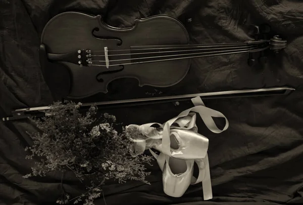 Vista Dall Alto Delle Scarpe Violino Balletto Messe Accanto Fiore — Foto Stock