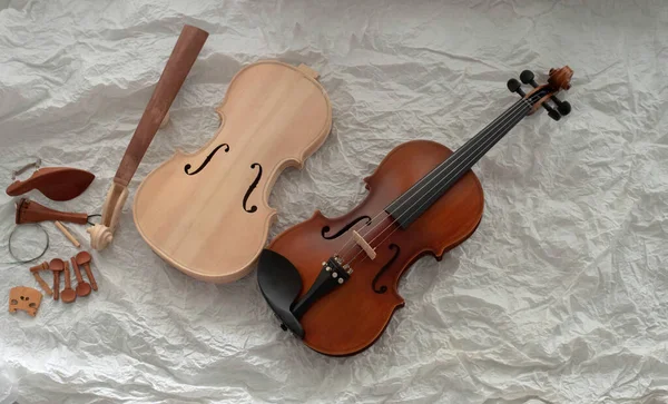 Violino Cru Colocado Lado Violino Completo Segundo Plano — Fotografia de Stock