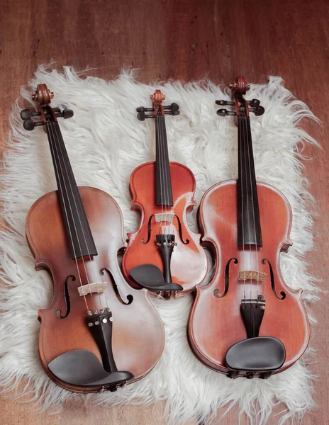 Τρία Βιολιά Στο Παρασκήνιο Δείχνουν Λεπτομέρεια Και Διαφορετικό Μέγεθος Ακουστικού — Φωτογραφία Αρχείου