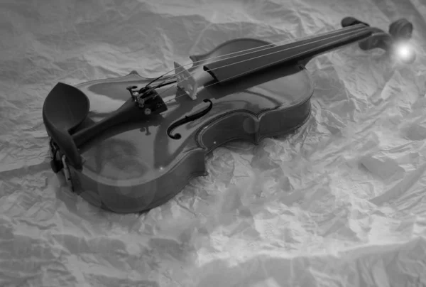 Violino Madeira Colocar Fundo Superfície Grunge Tom Preto Branco Efeito — Fotografia de Stock