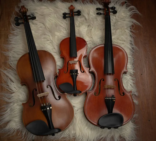 Three Violins Put Background Show Detail Different Size Acoustic Instrument — Stock Photo, Image