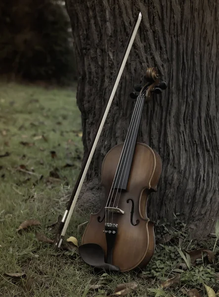 木の幹に対してバイオリンと弓 公園では 周りの乾燥葉の多くは 音響機器の詳細を表示し 周りのぼやけた光 — ストック写真