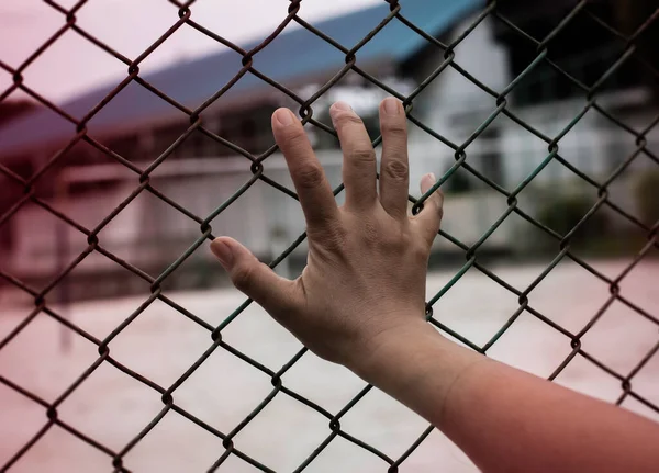 Human Hand Touch Iron Chainlink Fence Blurry Light — Stock Photo, Image