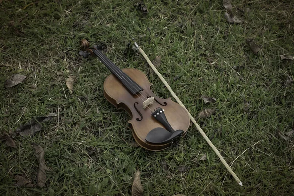 Violin and bow put on green grass ground floor,plenty of dried flower,blurry light around,vintage and art tone