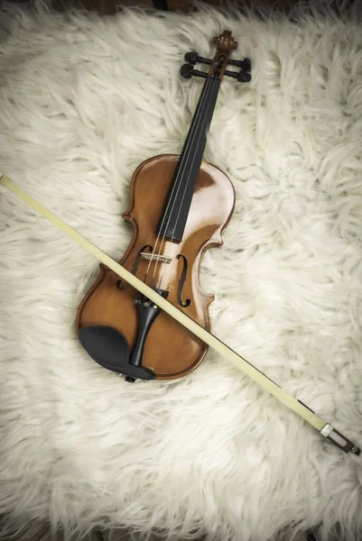Violin Put Bsilk Vel Cloth Show Detail Acoustic Instrument — Stock Photo, Image