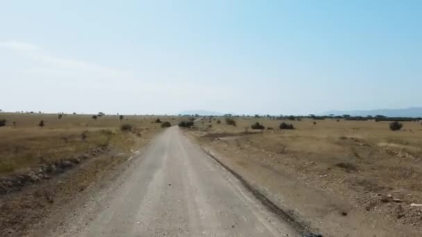 Auto resor: SUV rider savann, en dal med berg vid horisonten. POV - Synpunkt bil rör sig längs vägen till bergen genom landsbygden. Terrängkörning. — Stockvideo